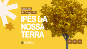 Concurso de Fotografia “Ipês da Nossa Terra” está com inscrições abertas